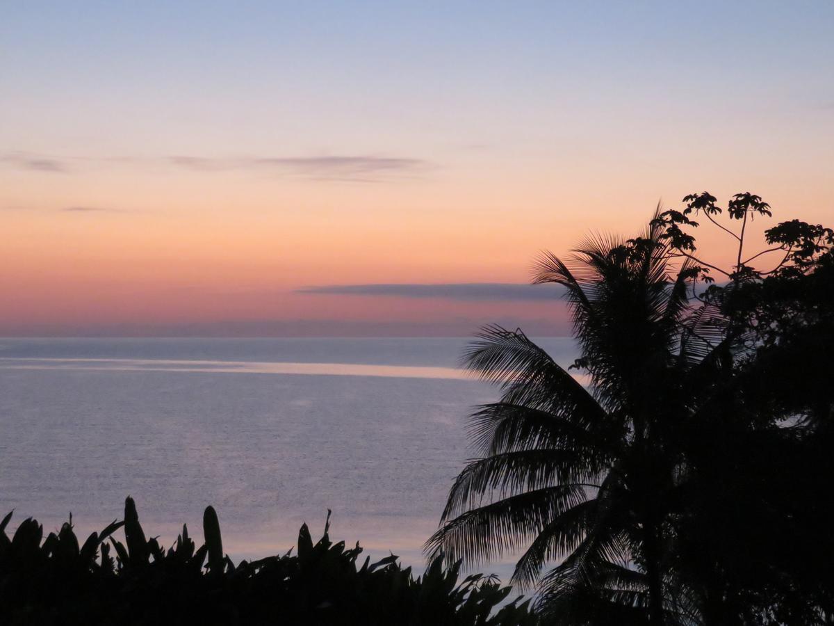 Coral House Bed & Breakfast ปุนตากอร์ดา ภายนอก รูปภาพ