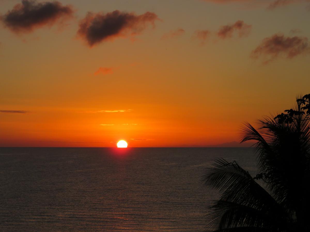 Coral House Bed & Breakfast ปุนตากอร์ดา ภายนอก รูปภาพ