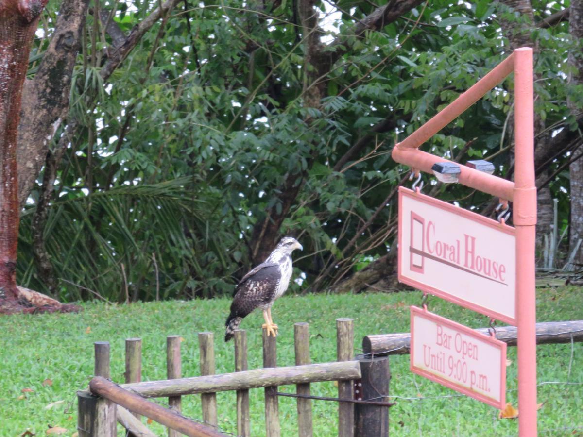 Coral House Bed & Breakfast ปุนตากอร์ดา ภายนอก รูปภาพ