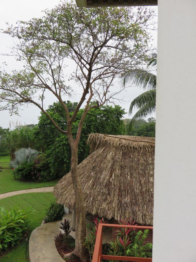 Coral House Bed & Breakfast ปุนตากอร์ดา ภายนอก รูปภาพ